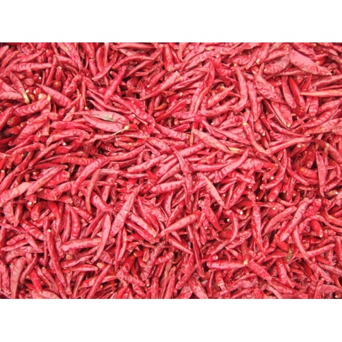 piment rouge chaotian sec