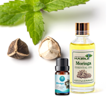 High Quality Moringa Oil Cold Pressed Aromatherapy Base Oil