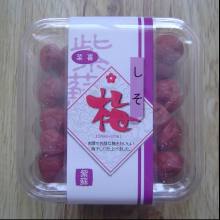 Basils Flavour Dried Plums 150g