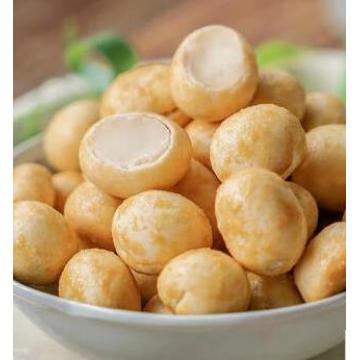 Mesin salutan kacang macadamia