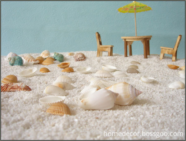 Seashell for Home Decoration