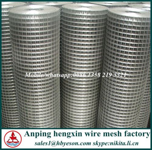 china cheap hot dipped galzanized welded wire mesh