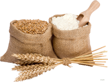 pure Wheat protein peptide