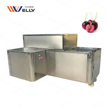 Commercial Industrial Electric Cherry Pitting Machine for Core Removing and Pit Removal