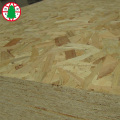 laminated OSB board 15mm 18mm