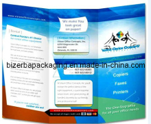 Promotion Flyer/Manuals Printing