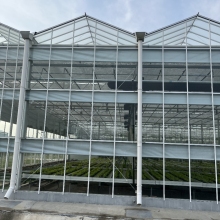 Large Span Steeple PC Greenhouse