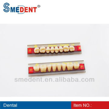 Denture Acrylic Resin Teeth/Dental Acrylic teeth