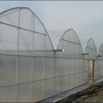 Multi-Span Hydroponic Tunnel Film Greenhouse