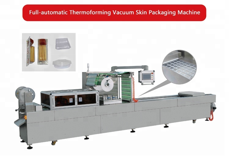 Automatic Thermoforming Stretch Film Vacuum Packaging Machine For Meat Seafood Bean Curd