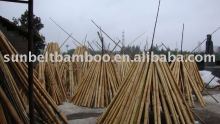 large bamboo pole