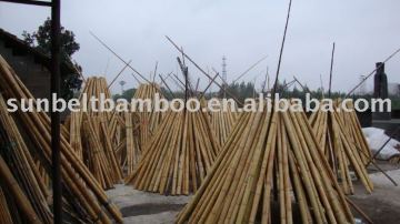 large bamboo pole