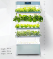 การเกษตร microgreen aquaponics hydroponic แนวตั้งในร่ม