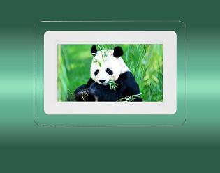 digital photo frame