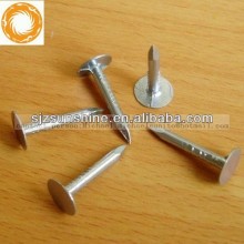 2013 good flat head clout nail