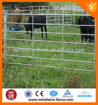 Cattle/horse rail fence