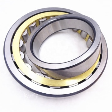  Heavy Duty NU2219 Cylindrical Roller Bearings