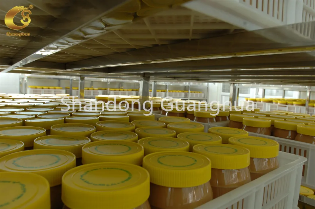 Manufacture High Grade 2020 New Peanut Butter