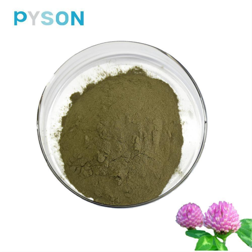 Red Clover P.E. 8% HPLC Trifolium Pratense Flower