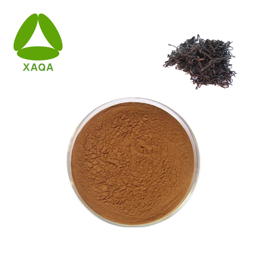 Sargassum Seaweed Extract