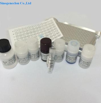 Human Thyroxine (T4)  ELISA Kit