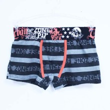 Chinese Printed Underwear Spandex Cotton Boy's Satin Panties