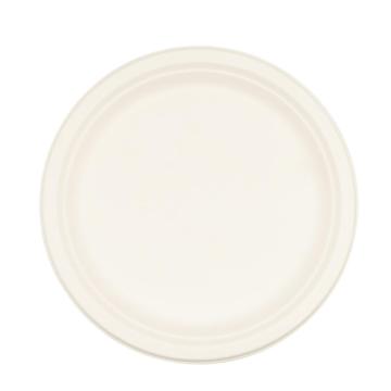10inch Plate environmentally disposable paper tableware