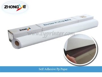 Self Adhesive Matt PP Paper