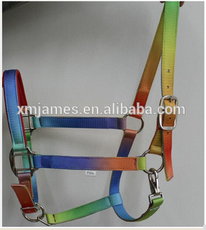 Horse tetalon halter