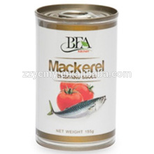 fresh mackerel in tomato sauce in tin