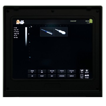 Сабака ў ветэрынарнай ультрагукавой машыне