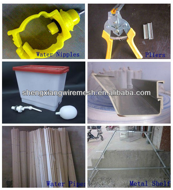 China newly design in the market animal cage/bird cage/quail cage