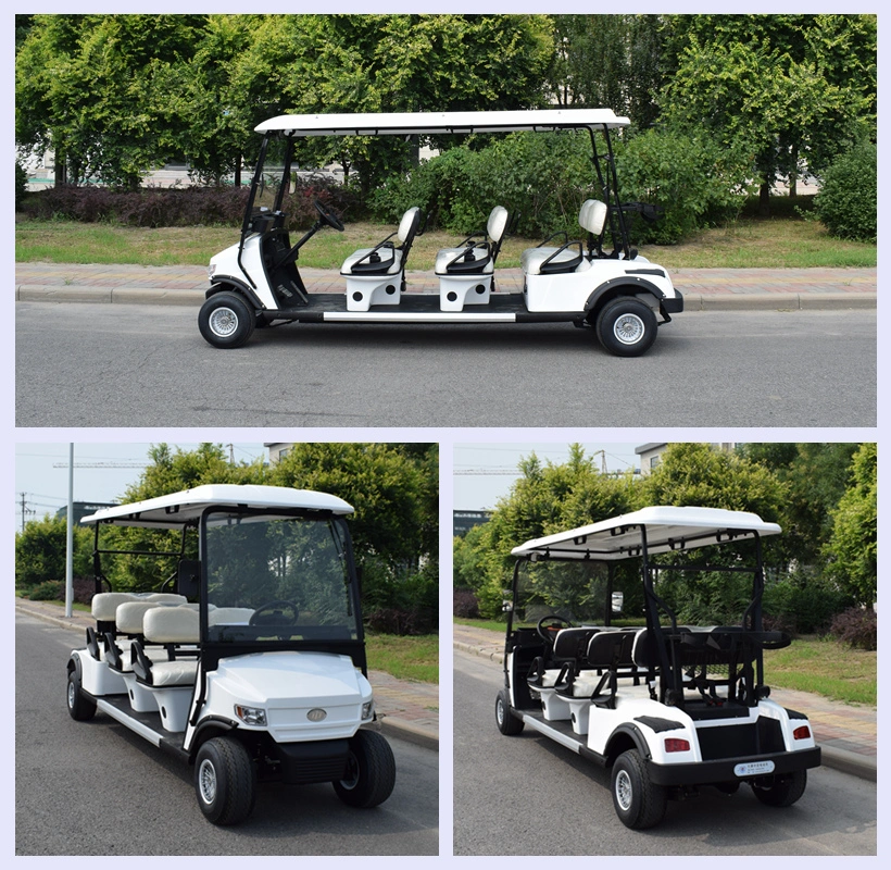 Zhongyi 24 6 8 Seater Electric Mini Utility Club Sponge Seat with Safety Belt Per Seat Golf Vehicle