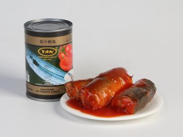canned mackerels in tomato sauce