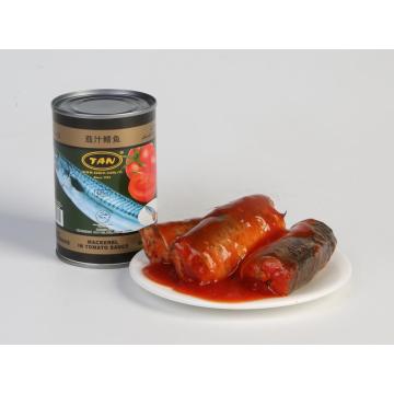canned mackerels in tomato sauce