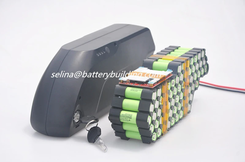 Newest Style E-Bike Battery Pack with Matching Controller