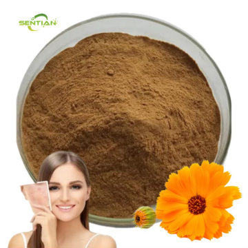 Calendula Officinalis Flower Extract For Skin Hair
