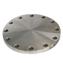 Stainless Steel Bland Flange