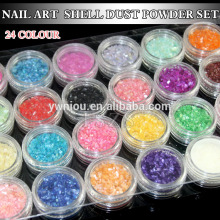 24 colors nail art shell dust powder set Decoration
