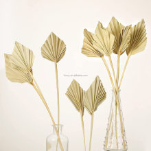 Fast Delivery Pampas Grass Artificial Dried Flowers - Decorative Preserved Palm Leaves