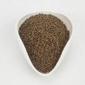 Perilla Leaf Seed