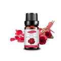 Private Label bulk price 100%Pure Rose Essential Oil