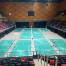 BWF Internation Elite Badminton Court Mat