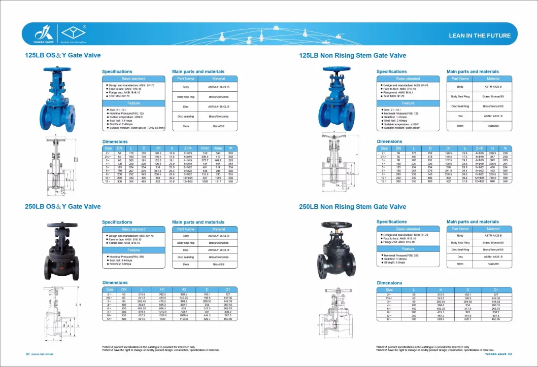 JIS Cast Iron 5K/10K Gate Valve