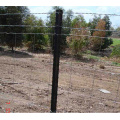 Fence Posts/Star Pickets/Y Type Star Fence Post