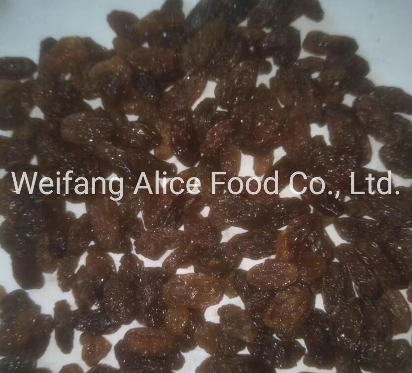 Bulk Packing Healthy Snack Dried Black Raisin