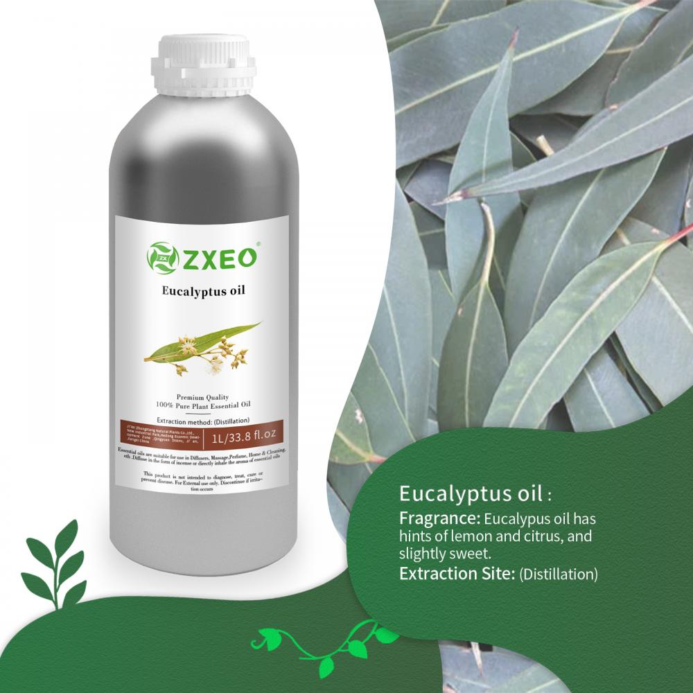 Eucalipto de eucalipto 100% puro Eucalipto Óleo essencial para a pele e na limpeza purificadora de aromaterapia esclarecedor