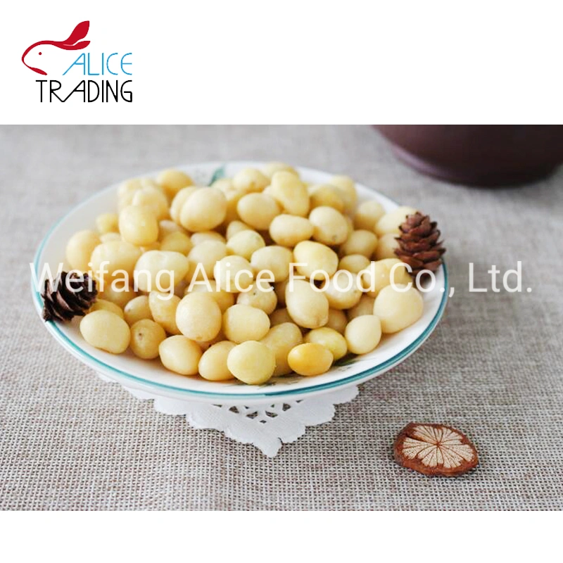 Healthy Chinese Snack vacuum Fried Gingko