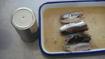 Canned Jack Mackerel in Brine