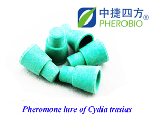 Pheromone Lure for Cydia trasias, Sex Pheromone Bait & Pheromone Trap for Cydia trasias